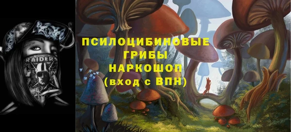 герыч Вяземский